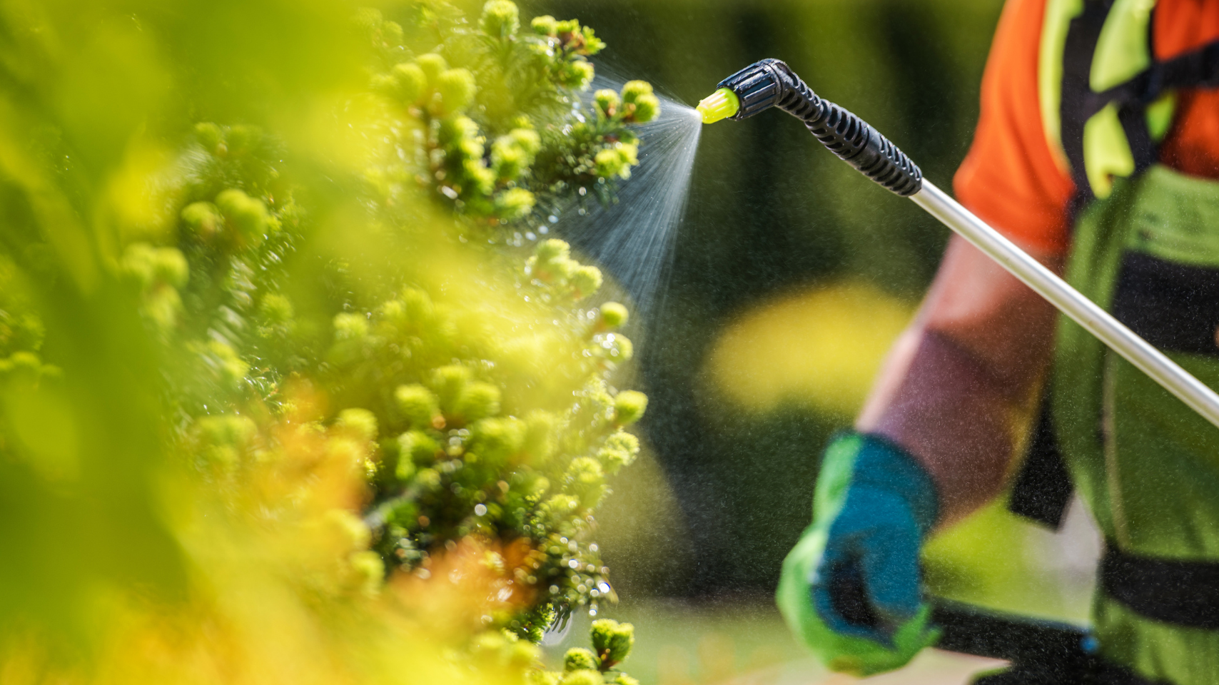 The Role of Surfactants in Agrochemical Formulations: Enhancing Stability, Spray Efficiency, and Crop Protection Performance
