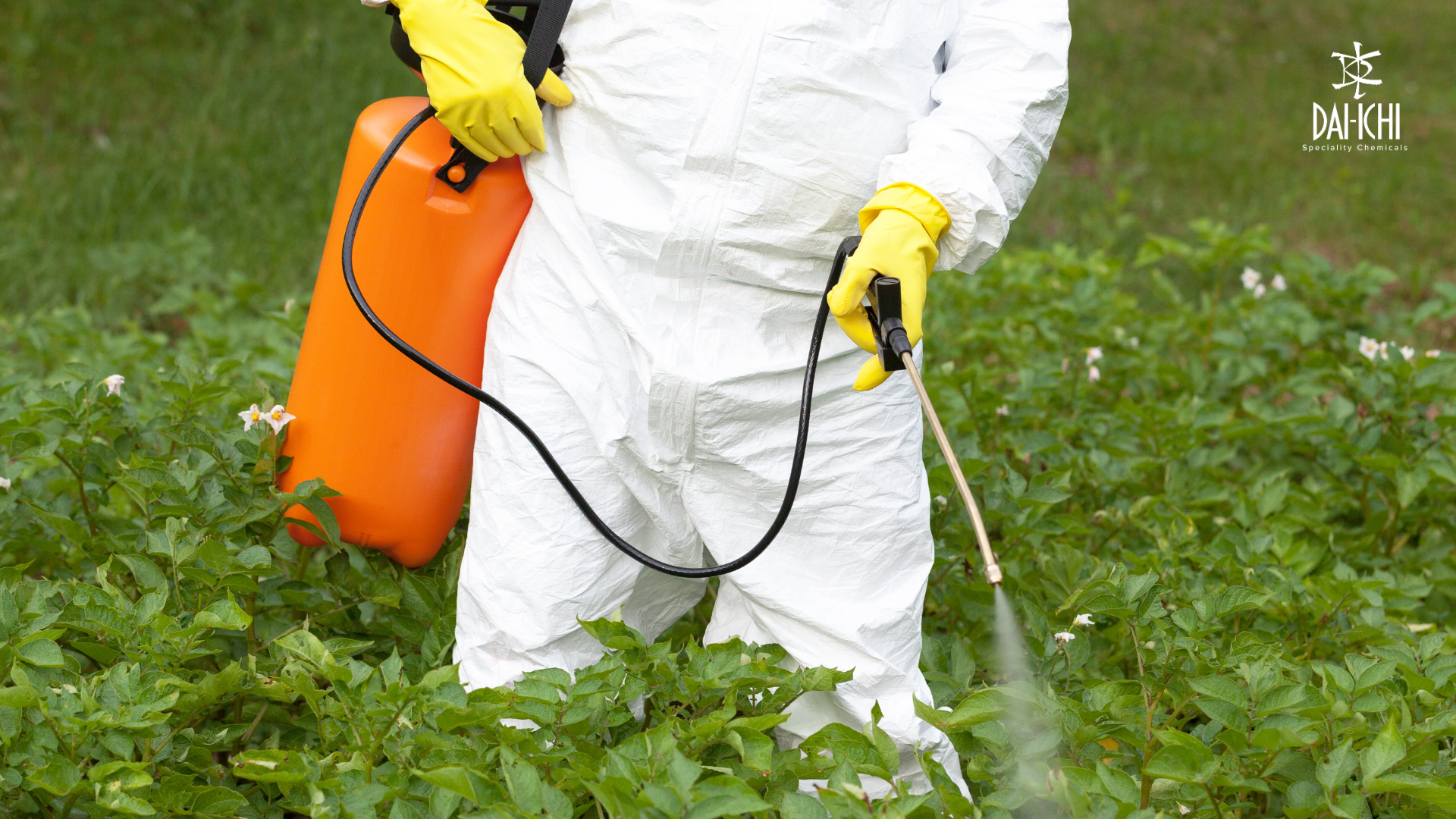 Learn how specialty chemicals enhance sustainable agrochemical formulations through improved stability, compatibility, spray performance, and formulation efficiency.